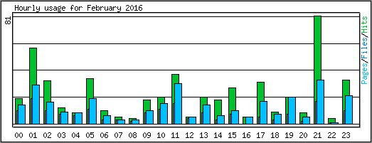 Hourly usage
