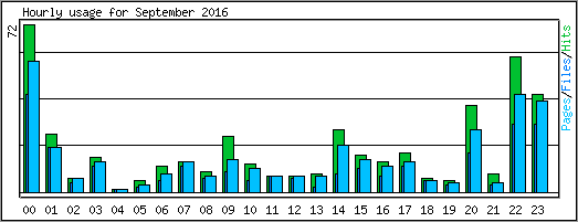 Hourly usage