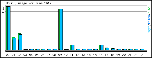 Hourly usage