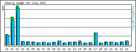 Hourly usage